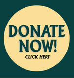DONATE-NOW