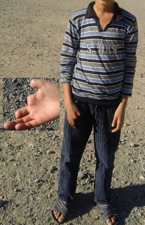 12250611_1280373498716858_1009821413_o